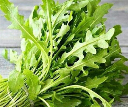 Руккола, шпинат,зелень, базилик , салат  - изображение 1